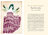 Illustration for the French literary magazine Décapage