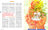 Illustration Panorama magazine