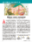 Illustration for Le Pèlerin Magazine