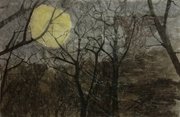 La forêt enchantée