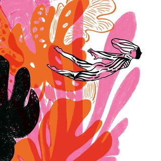 Détail du masque "Envol"