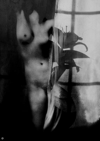femme-fleur-bassdef.jpg