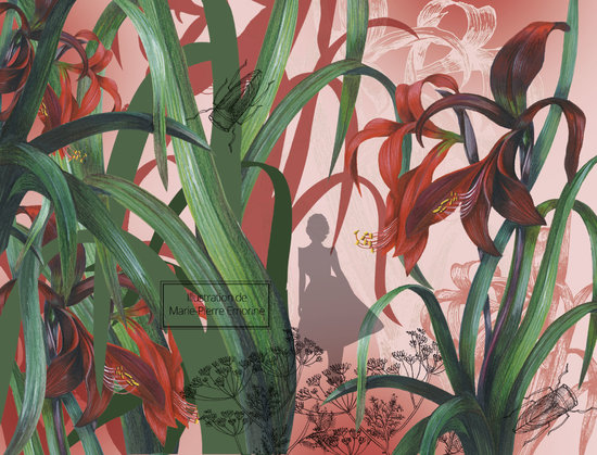 JARDIN DES MODES - AMARYLLIS