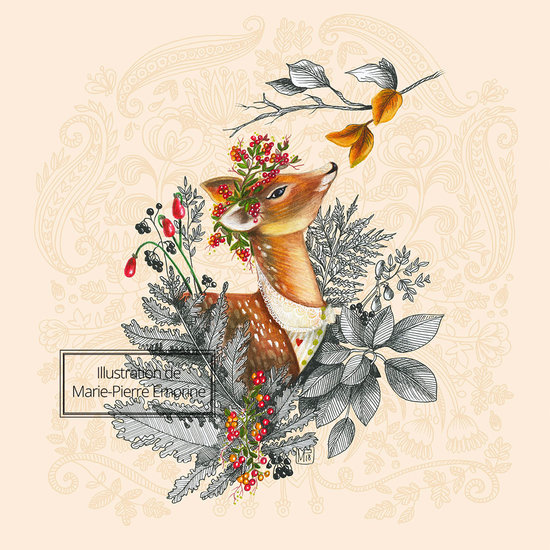 CREME DES BOIS - BICHE