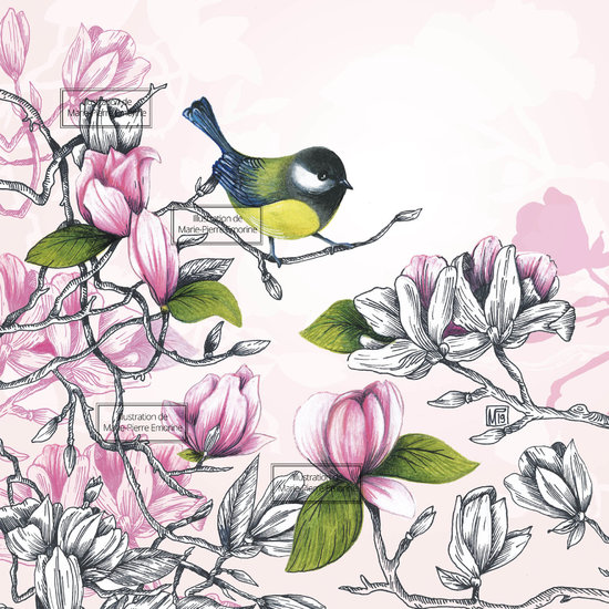 CHANT FLEURI mésange et magnolia.jpg