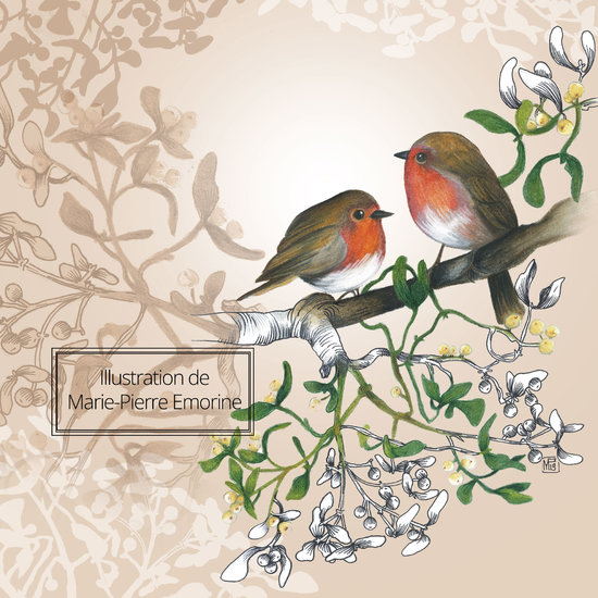 CHANT FLEURI Rouge-gorge et gui