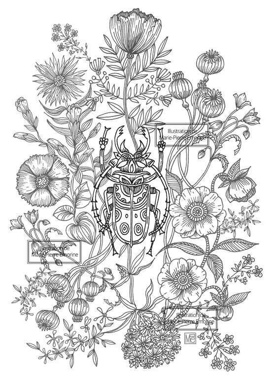 COLORIAGE