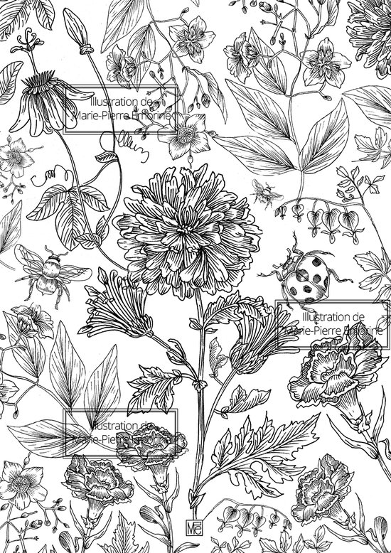 COLORIAGE