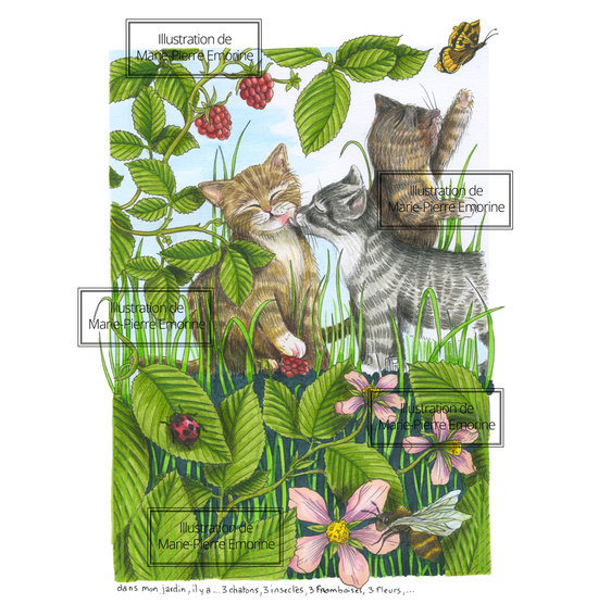 DANS-MON-JARDIN,-IL-Y-A-3....jpg