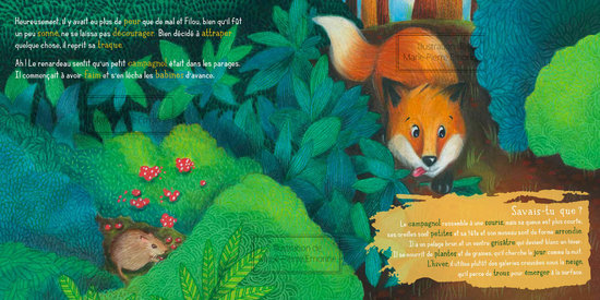 FILOU EXPLORE LA FORET - EDITIONS COUP D'OEIL.jpg