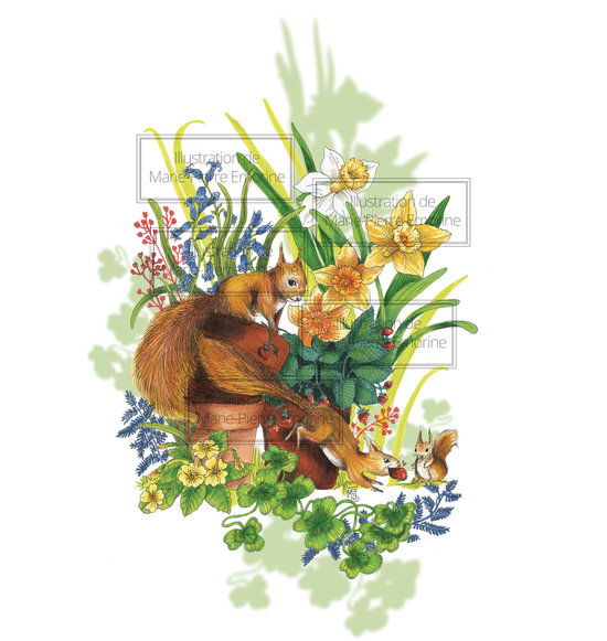 JARDIN SECRET - LES ECUREUILS