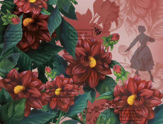 JARDIN DES MODES - DAHLIA