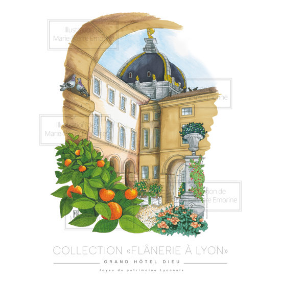 LYON-COUR-HOTEL-DIEU.jpg