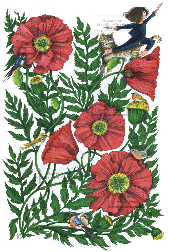 TRAVERSEE DES COQUELICOTS
