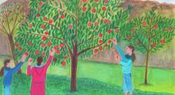 La cueillette.jpg - Lisa Epiphane-illustrateur