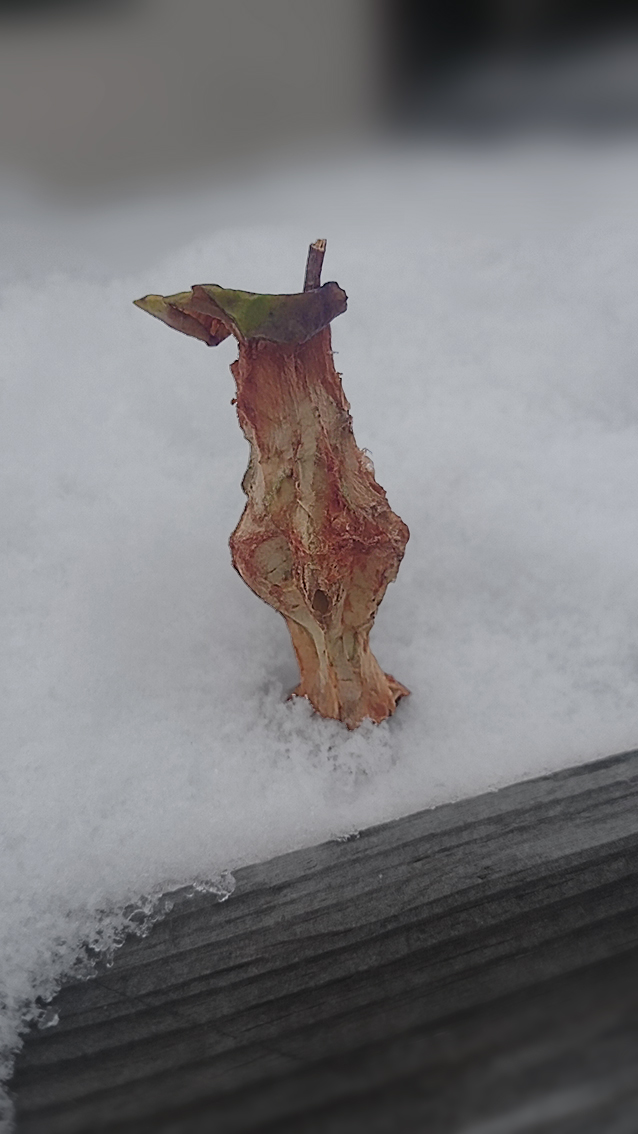 Pomme<br/><span>Photo prise avec mon portable Sony xperia Z2</span>