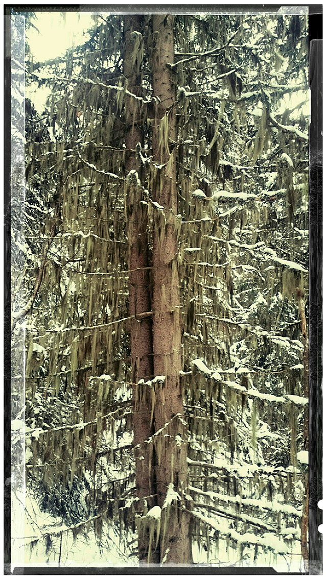 Nouvelle image<br/><span>Photo prise avec mon portable Sony xperia Z2</span>