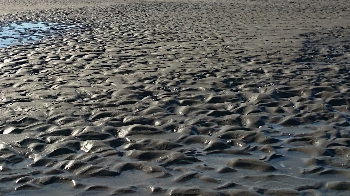 Plage<br/><span>Photo prise avec mon portable Sony xperia Z2</span>