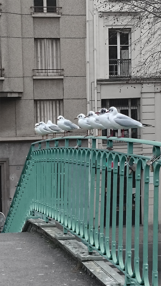 80 quai Jemmapes, Paris<br/><span>Photo prise avec mon portable Sony xperia Z2</span>