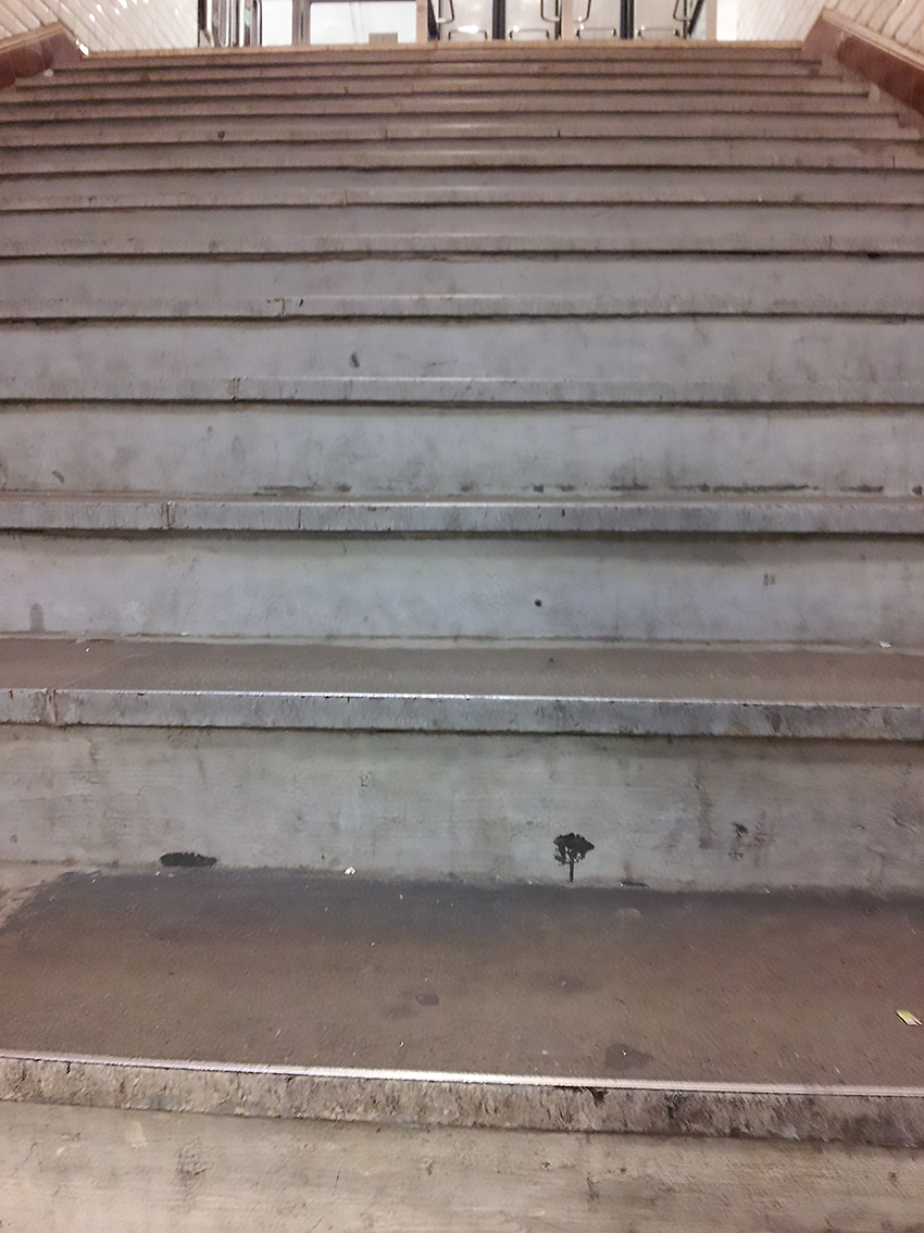 La solitude d'un arbre...<br/><span>Photo prise avec mon portable</span>