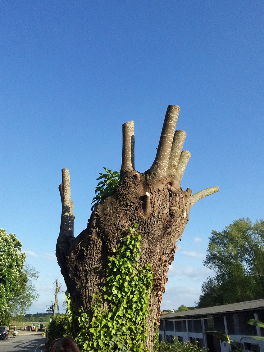 La main<br/><span>Photo prise avec mon portable</span>