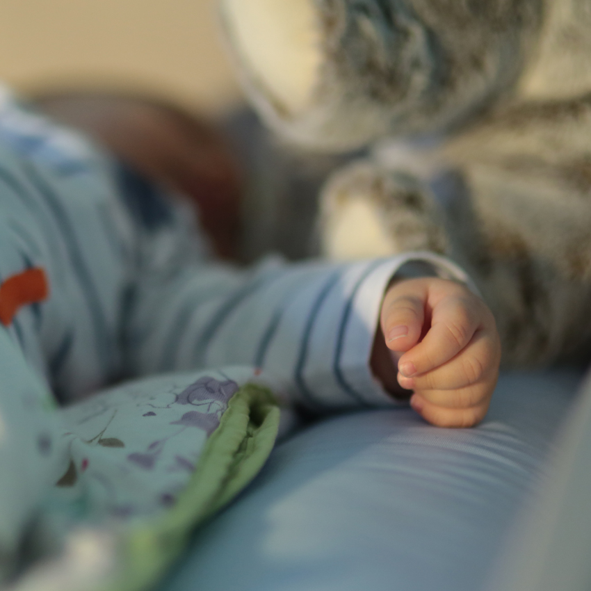 Nouvelle image<br/><span></span>