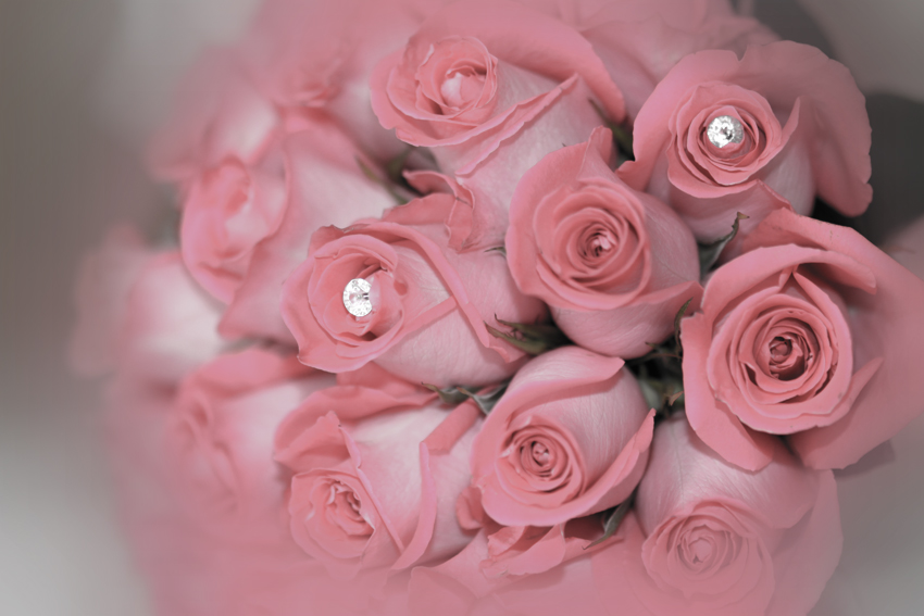 Nouvelle image<br/><span></span>