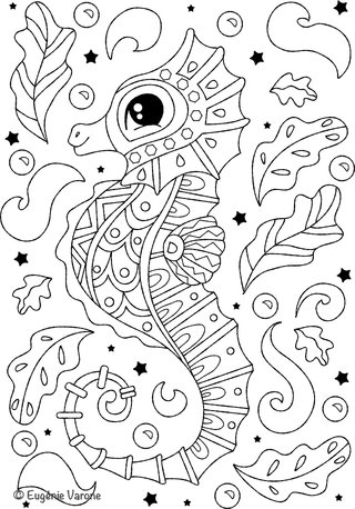 Coloriage Hippocampe