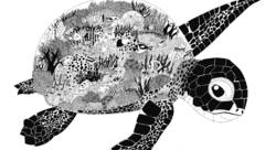 La tortue aquarium - fauste Illustration-illustrateur jeunesse