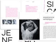 Cirque/Danse :: création dossier de diffusion