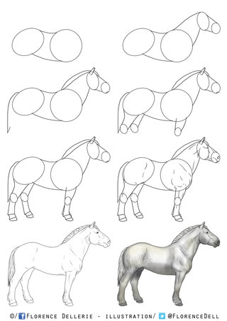 Tutoriel dessin - Le Percheron