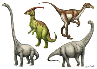 Mamenchisaurus, Parasaurolophus, Dromaeosaurus, Argentinosaurus