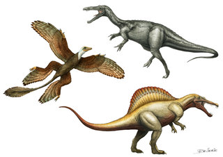 Microraptor, Suchomimus, Spinosaurus