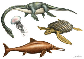 Plésiosaure, Méduse, Archelon, Ichtyosaure