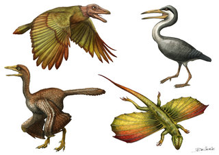 Iberomesornis, Ichtyornis, Archeopteryx, Icarosaure
