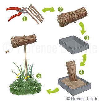 Schéma de construction d'un abri à abeilles sauvages