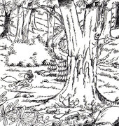 Bande dessin&eacute;e