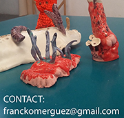 FRANCK OMER Portfolio :Criptozoique Peint fossile