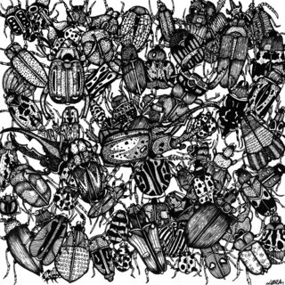 Black Bugs
