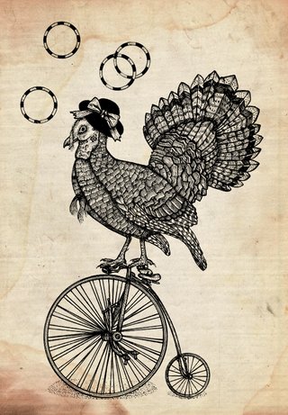 Circus Bird