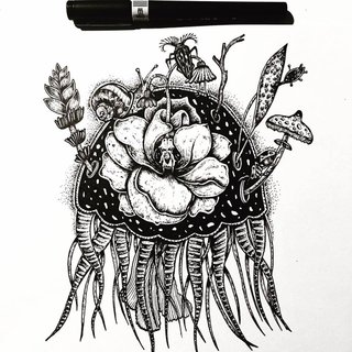 Jellyfish &amp; Mushrooms