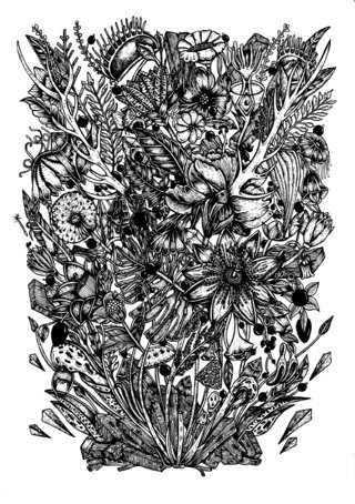 Birds and Botanical
