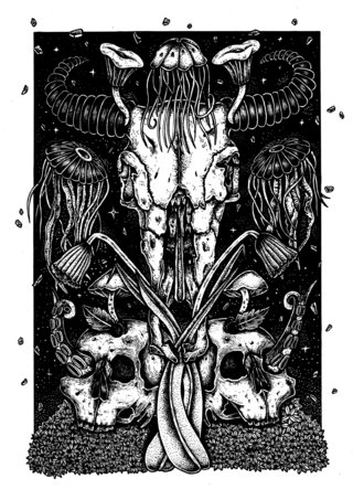 Skulls and Flowers