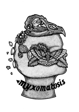 Myxomatosis.