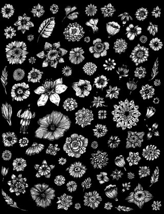 Flowers - Pattern