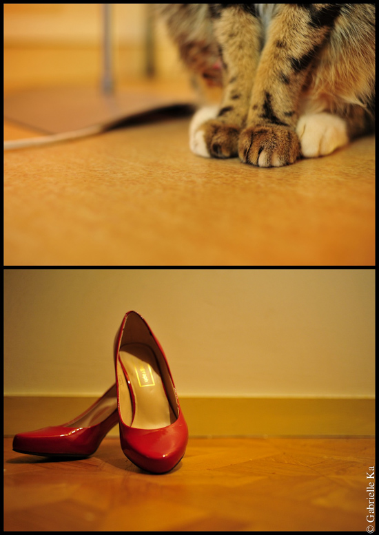Trouver chaussure à son pied, 2012<br/><span></span>