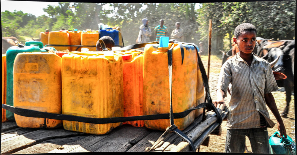 Shashemene Area, Ethiopia, 2010<br/><span>LVIA bringing safe water to the population</span>