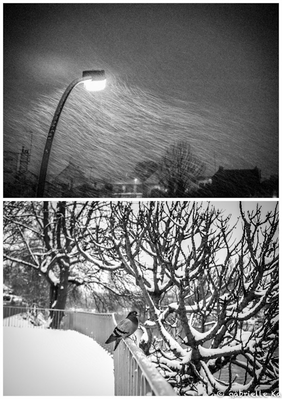 Winter, 2013<br/><span></span>