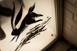 12304488_1632020313738873_8865754438352825975_o.jpg
