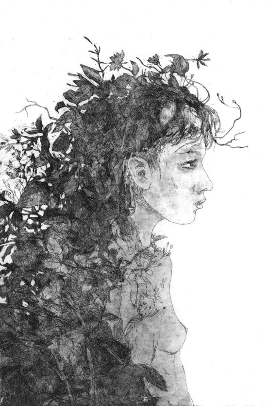 BNF - Rembrandt - La Petite Chasse au lion Vers 1629 Eau-forte. 158 x 117  mm | Rembrandt, Les arts, Comment peindre